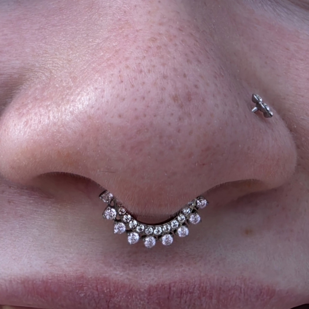 Septum at The Skin Lounge in MARQUETTE, MI