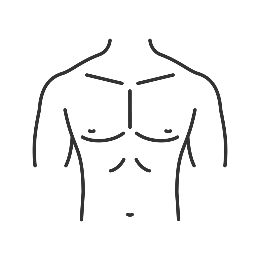 Full Chest
