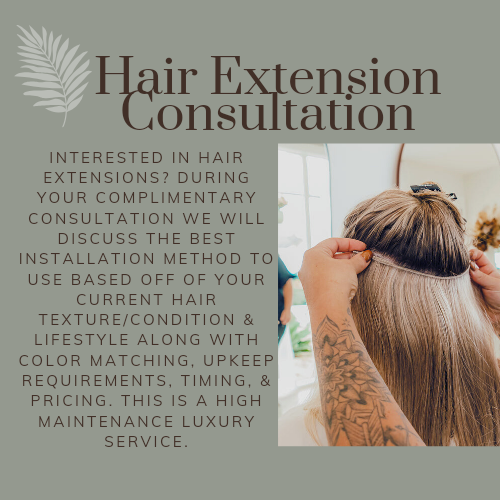 Hair Extension Consultation