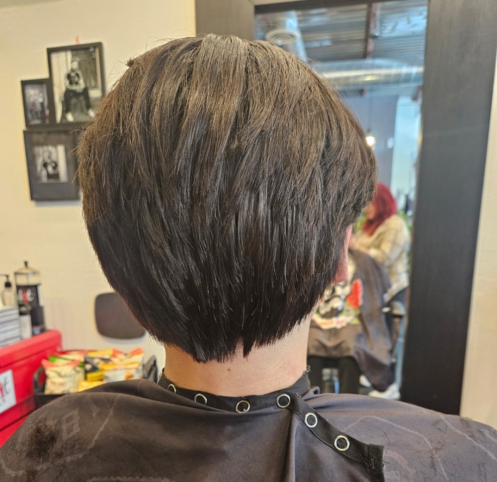 Mens Haircut (Scissor Cut) at Stormee Stylez in Colorado Springs, CO