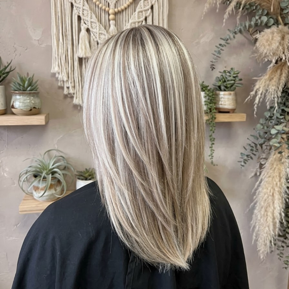 Womens Cut Including Shampoo/style at Danii Daum in Decatur, IL
