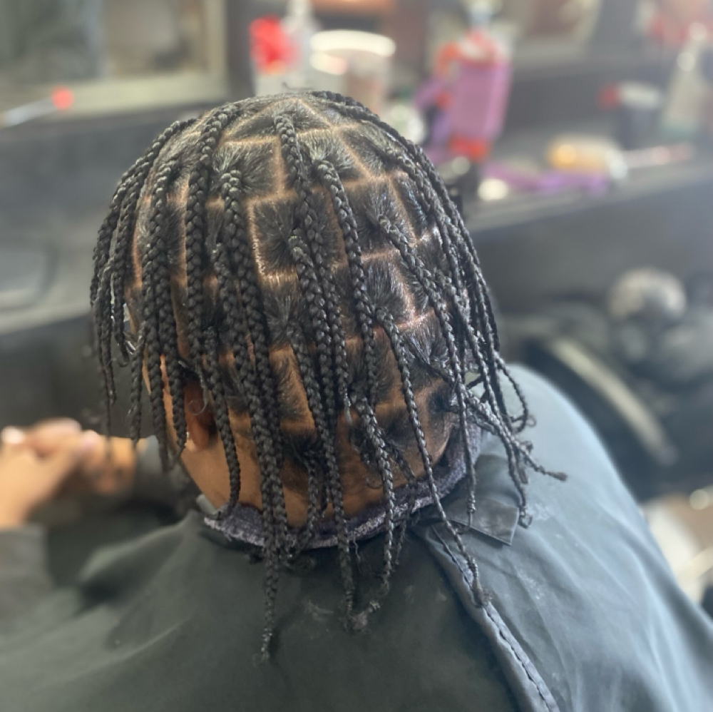 Single Braids at Roots To Ends in Columbus, OH