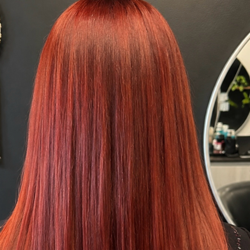 All-Over Color + Haircut at Lisa V Hair & Makeup Studio in Fresno, CA