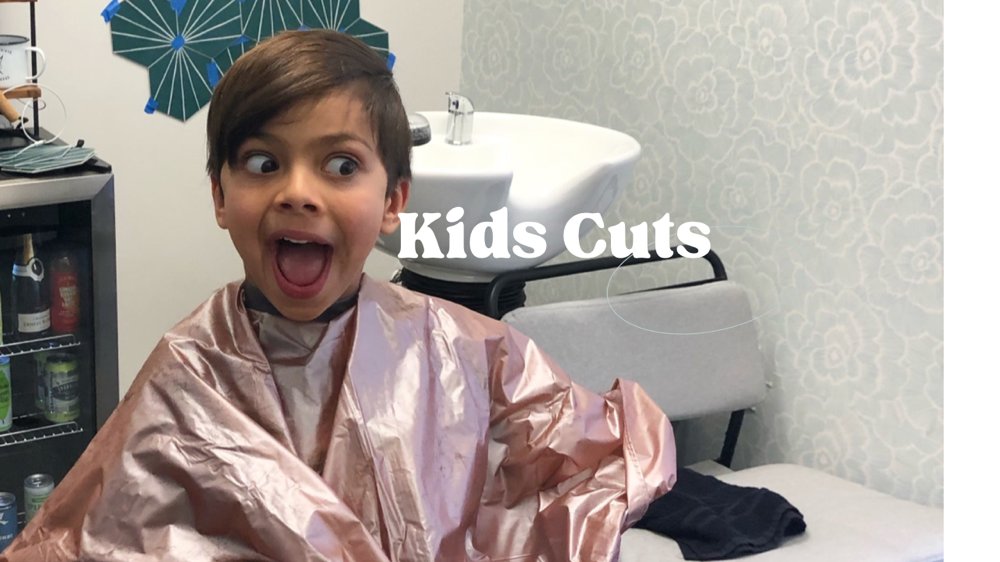 Kids Haircut (12 and under)