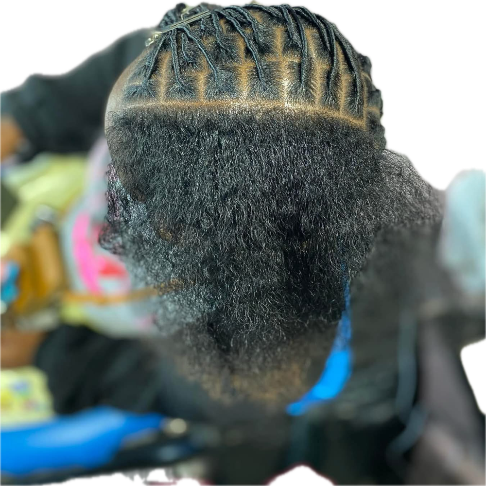 Starter Locs