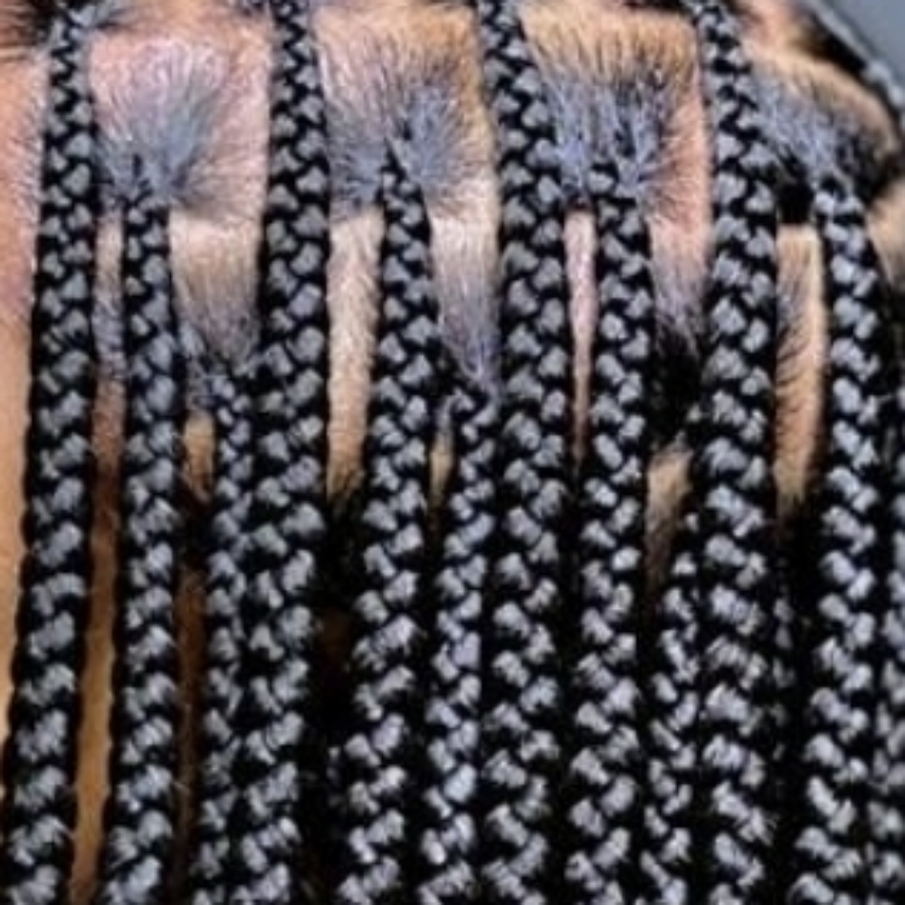 Boxbraids/Sew-ins/Crochets/Twists at Empire Stylez Beauty & Barber Shop in Cookeville, TN