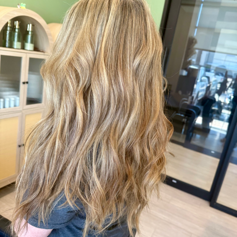 Color Correction at Wild Roots Hair Artistry Studio in Webster, TX