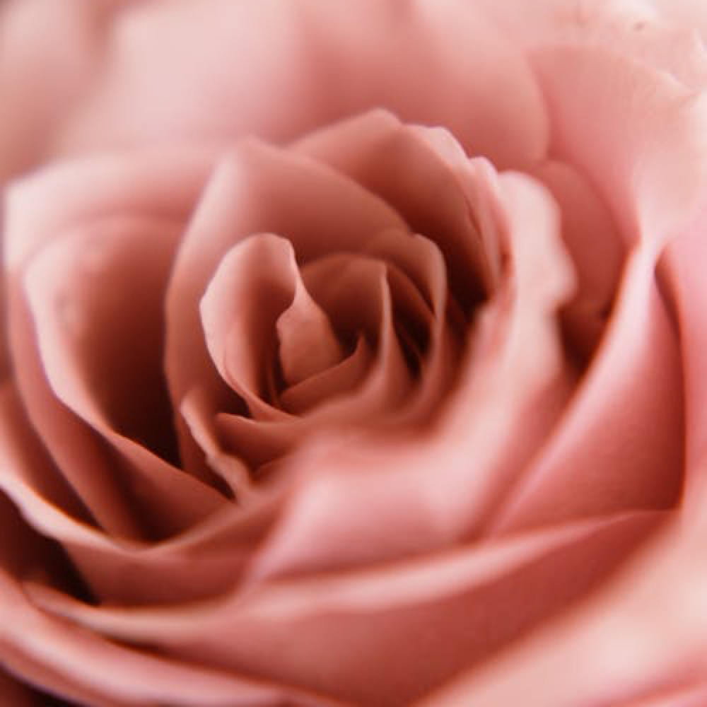 H2rose Petal Brightening at BleuReign Skin + Spa in Grand Prairie, TX
