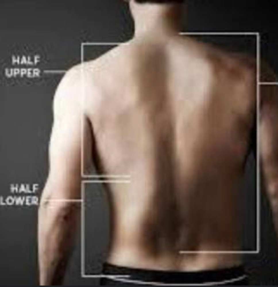 Half Back