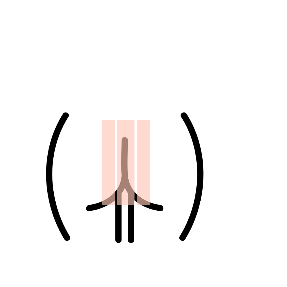 Brazilian+ Butt Strip Extended