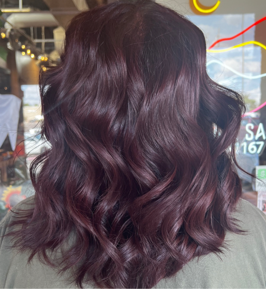 Solid all over Color at Beauty by Karen in El Paso, TX