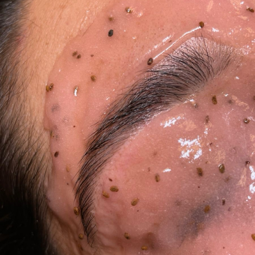 Brow Hydrojelly Mask at Hada Beauty Bar in Menifee, CA