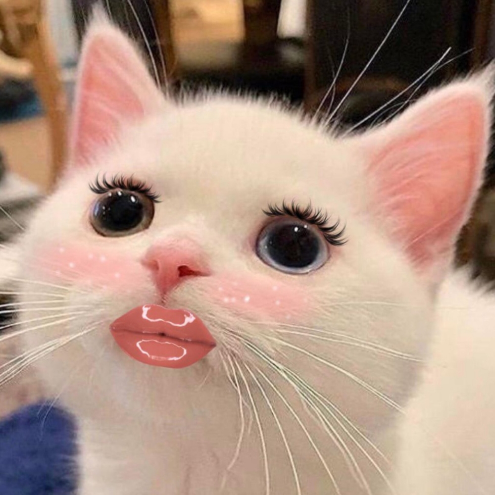 Lip (Add On Only)