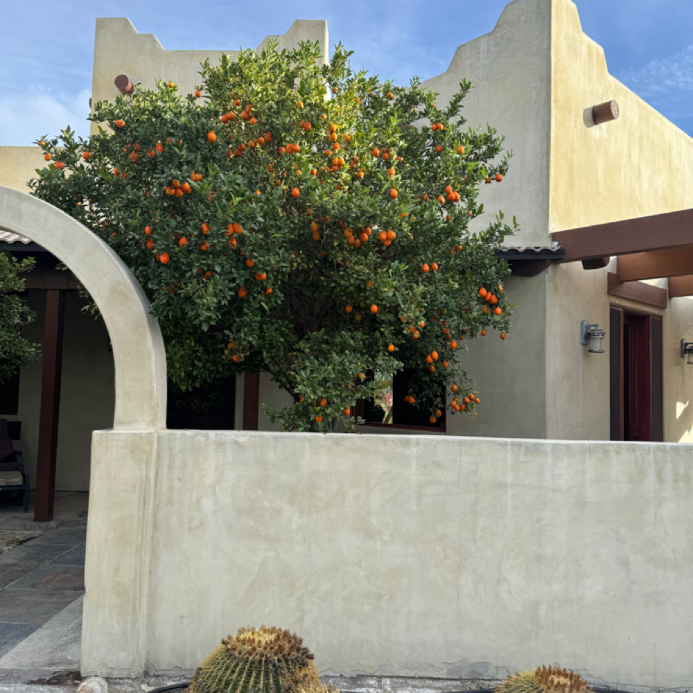 In Home Tarot Party at Indigo Salon @ Beaumont in Lexington, KY