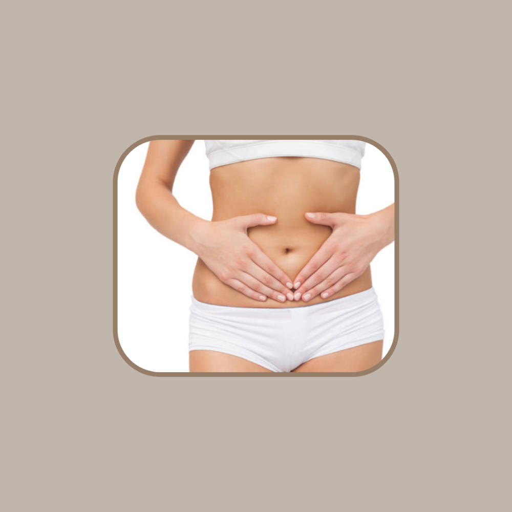 Add-On: Stomach