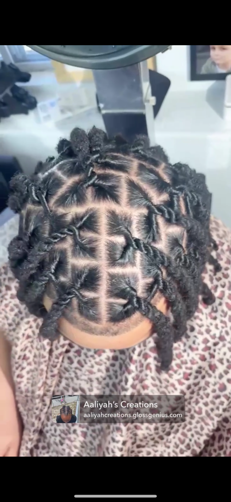 Retwist 2 Strand With Wash at Aaliyah’s Creations in Manchester, NH