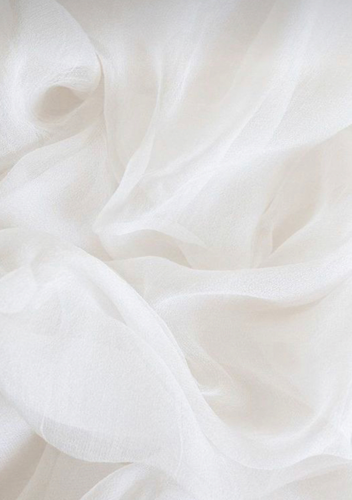 Stomach Strip