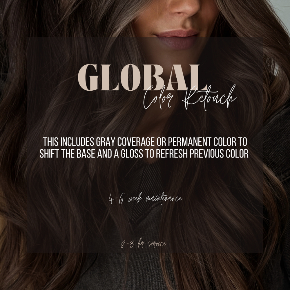 Global Color at Hair By Cassy and Team in Frisco, TX