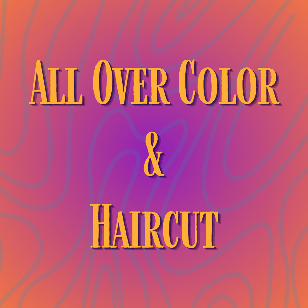 All Over Color And Haircut at Nan in Royal Oak, MI