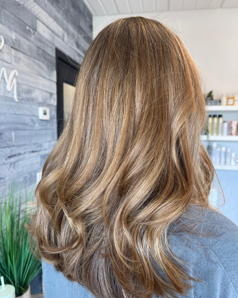 Root Touch Up