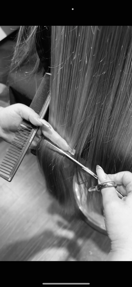 Dry Haircut at Saigetheestylist in Mobile, AL