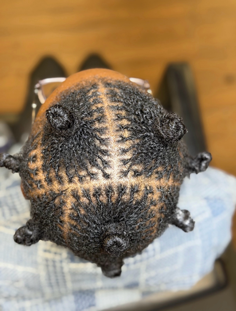 Micro Loc Establishment