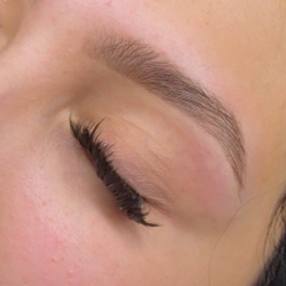 EC Brow Refresh at ECLashes in Odessa, TX