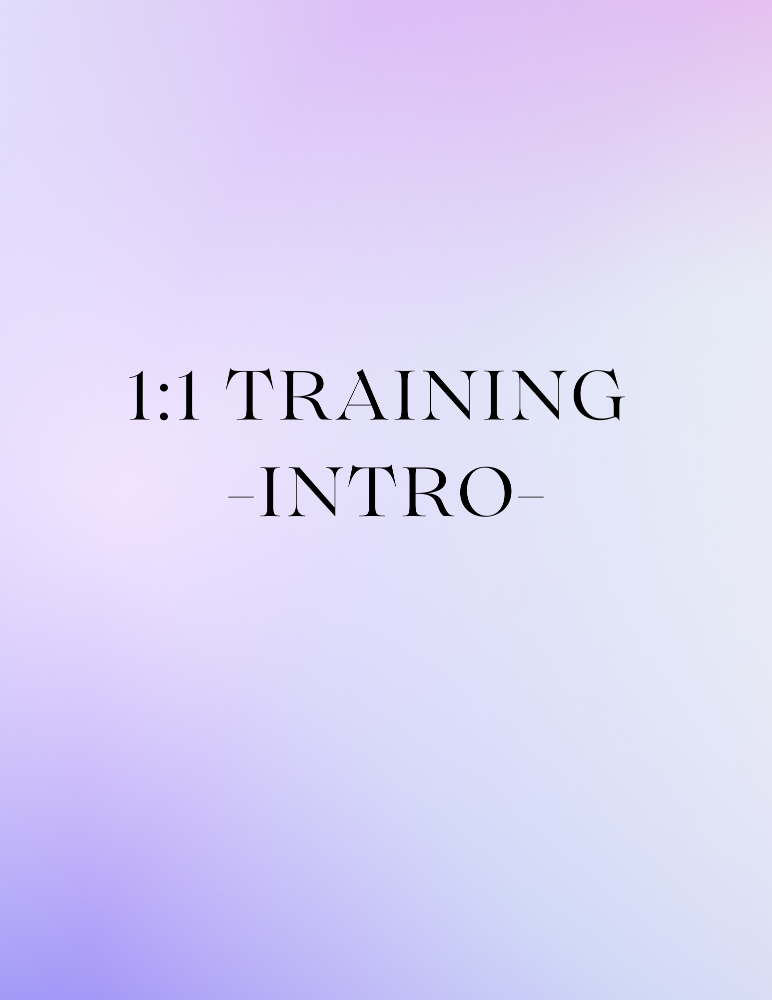 1:1 Training Course - Intro