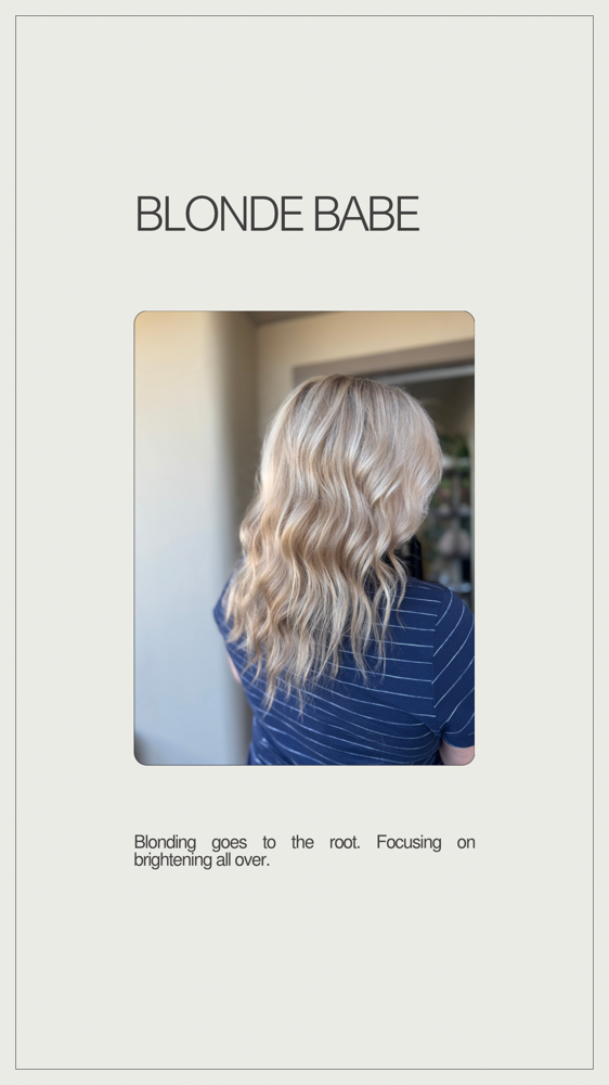 Full Head Highlight Retouch