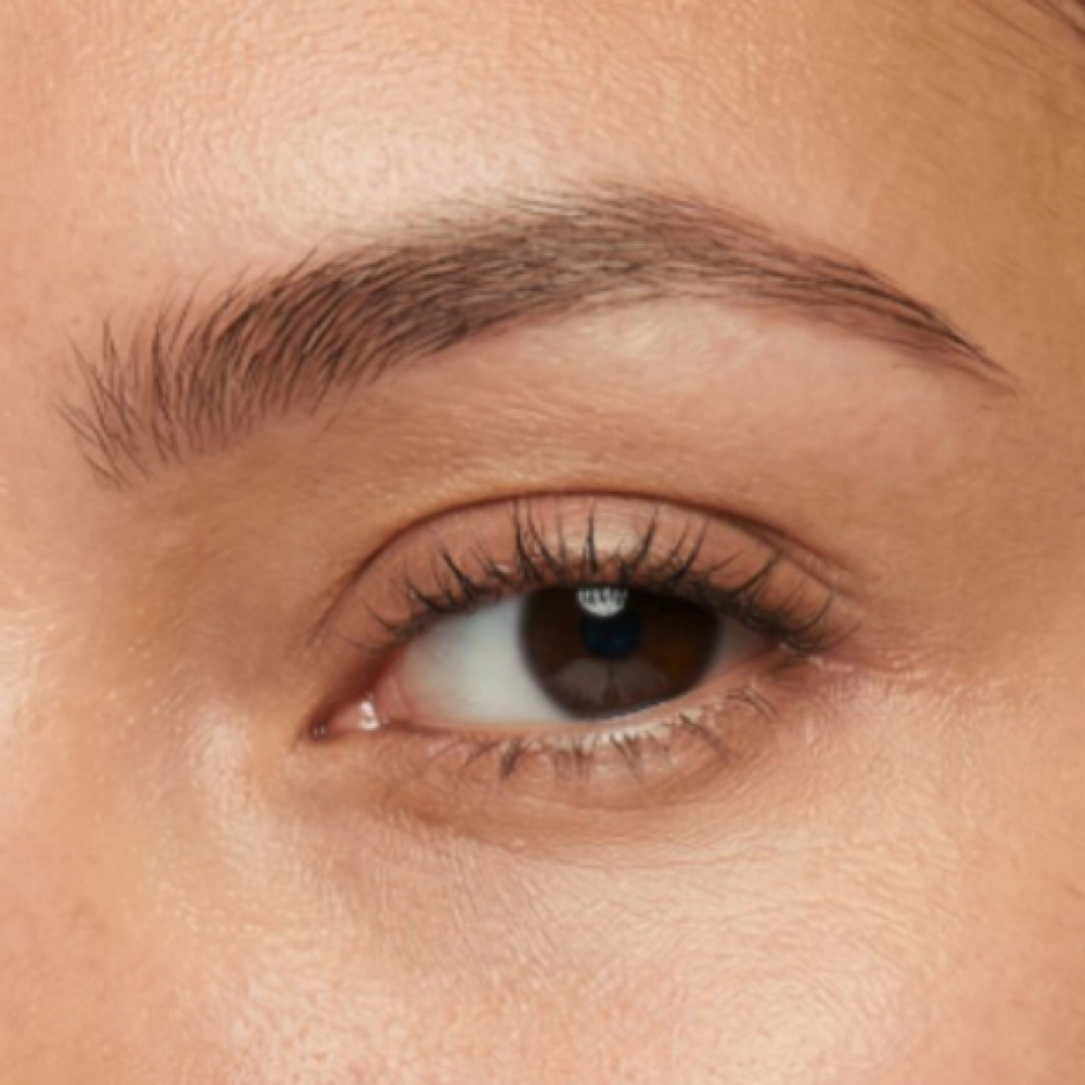 Brow Tint at Dare to be Artistry, Lash Studio in Gastonia, NC