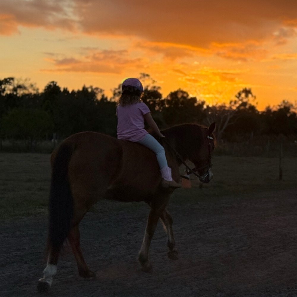 Private Lesson at Lhranch in Avon Park, FL
