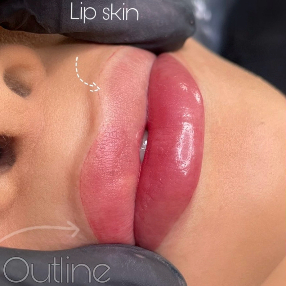 LIP BLUSH ANNUAL at BLUSH PMU STUDIO in San Antonio, TX