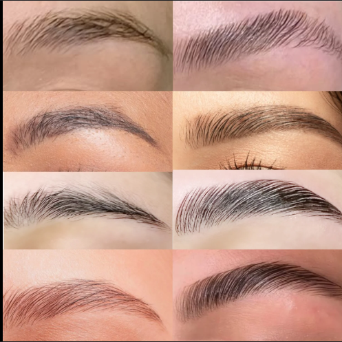 Brow Lamination + Wax (models)