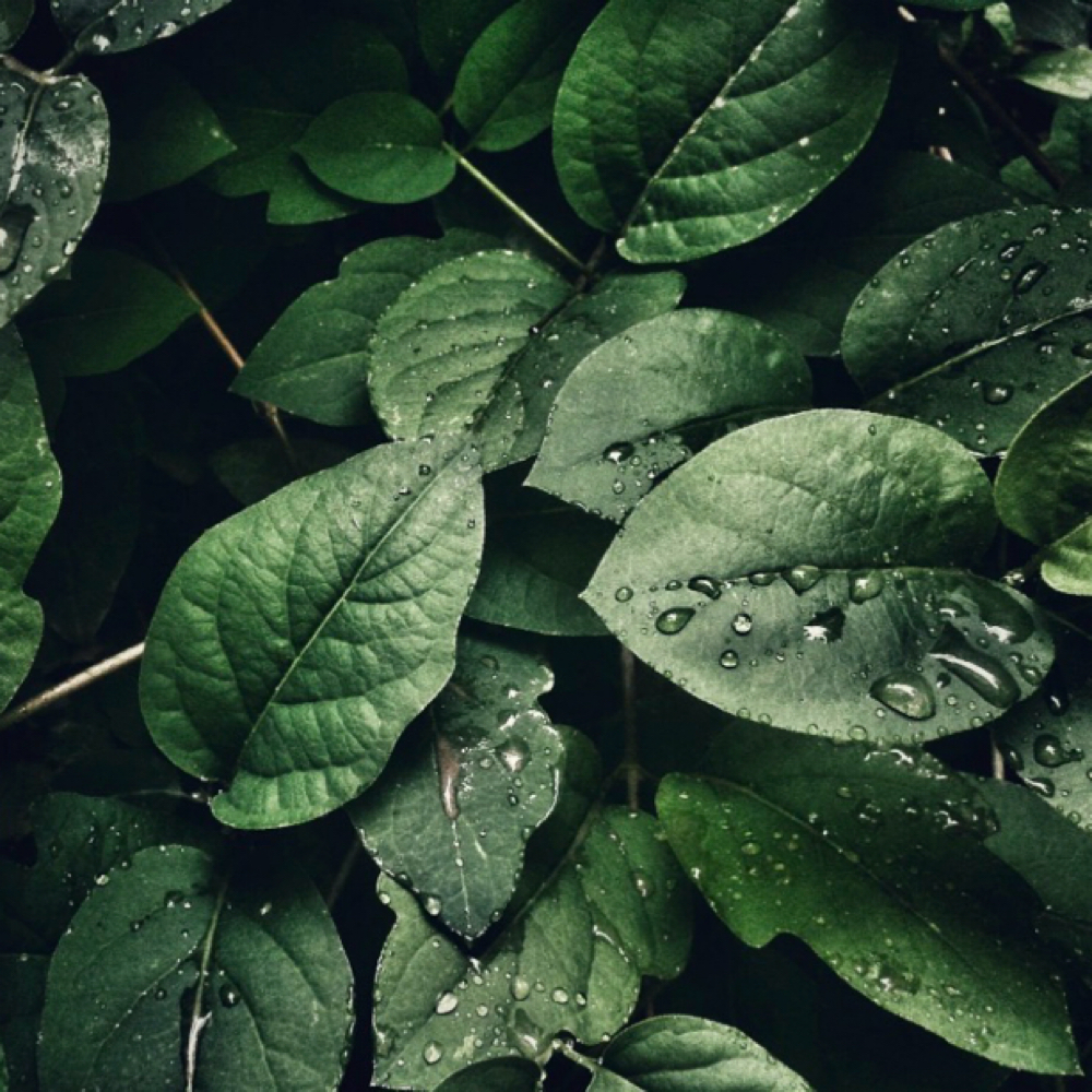 Mens Grey Blending at SANCTUARY studio at Indie Salons in Boulder, CO