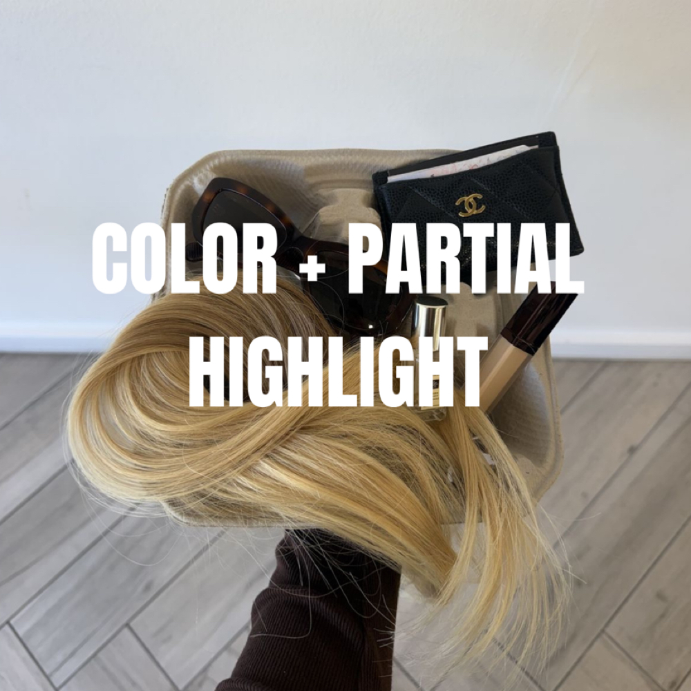 Color + Partial Highlight at Colored By Christa in Scottsdale, AZ
