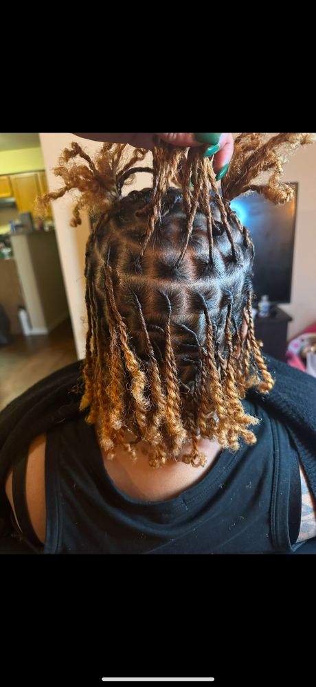 Traditional Stsrter Locs