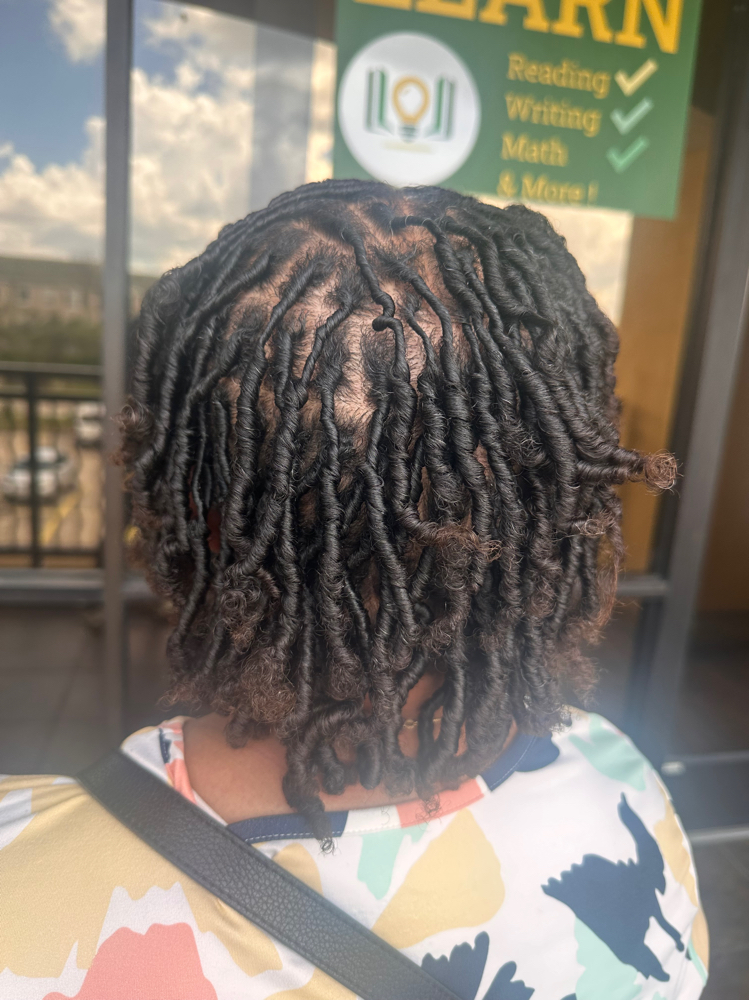 Starter Locs