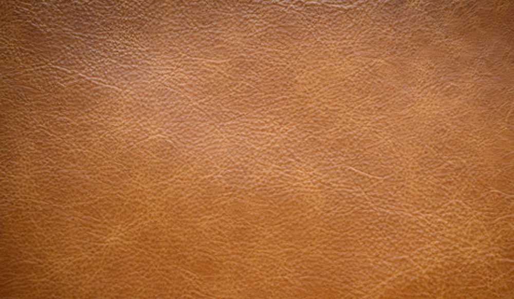 Root Touch Up With Highlight