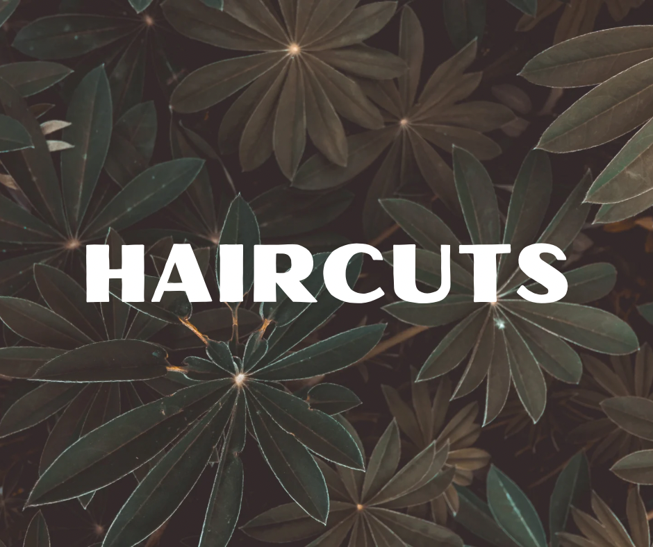 Haircuts