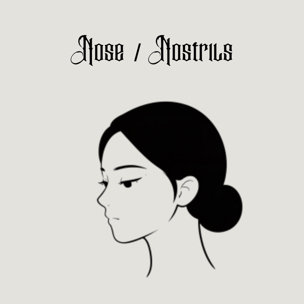 Nose/ Nostrils at All Bodies in Santa Ana, CA