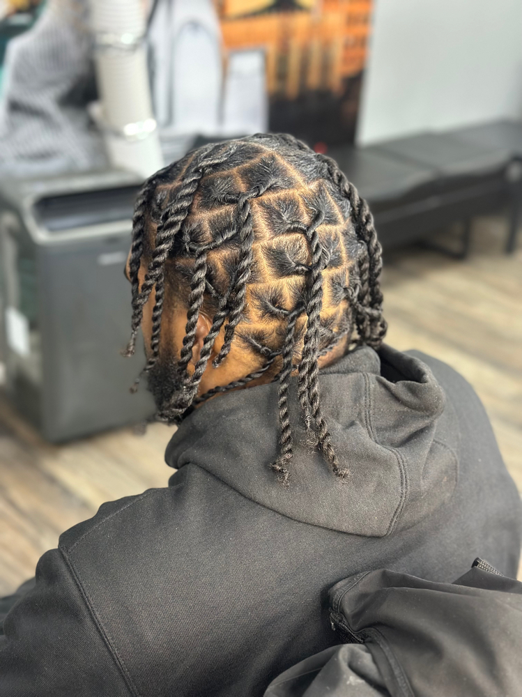 2 Strand twist (No locs)