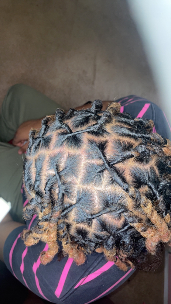 Loc Retwist Only !!!