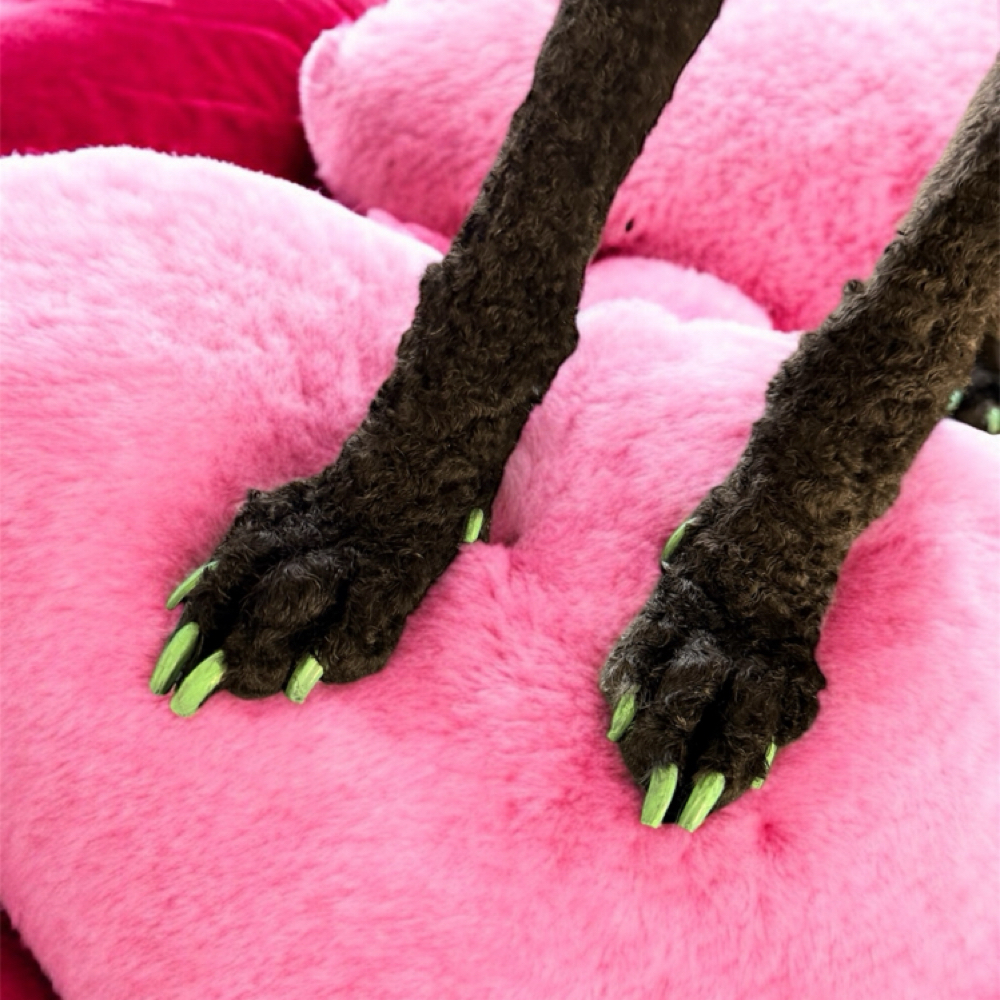 Dog Pawdicure Service at The Paw Spa in Wallins Creek, KY