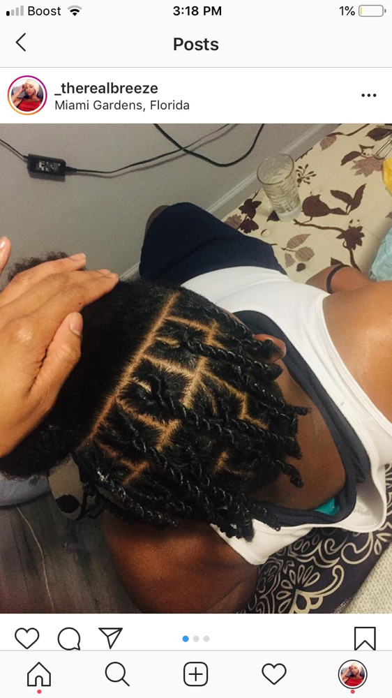 Starter Locs