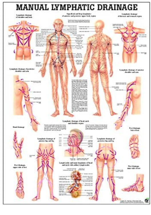 Lymphatic Drainage Massage