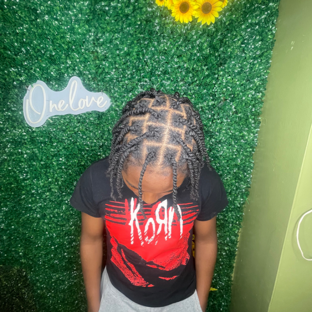 Natural Two Strand Twist at Candy’sbraidingsalon in detroit, MI
