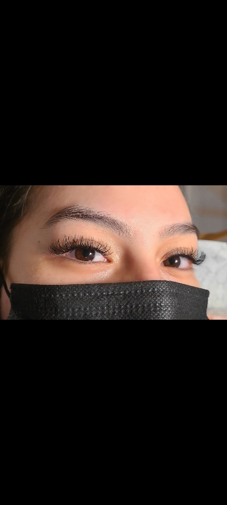 Classic & Y Lashes