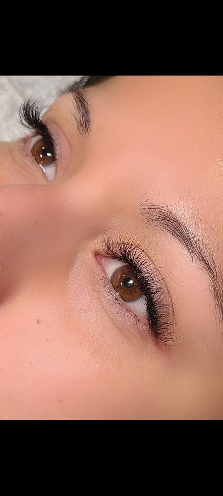 Light Volume/Hybrid Fill