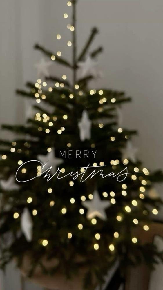 40-MINUTE EXPRESS WEEKLY LASH FILL