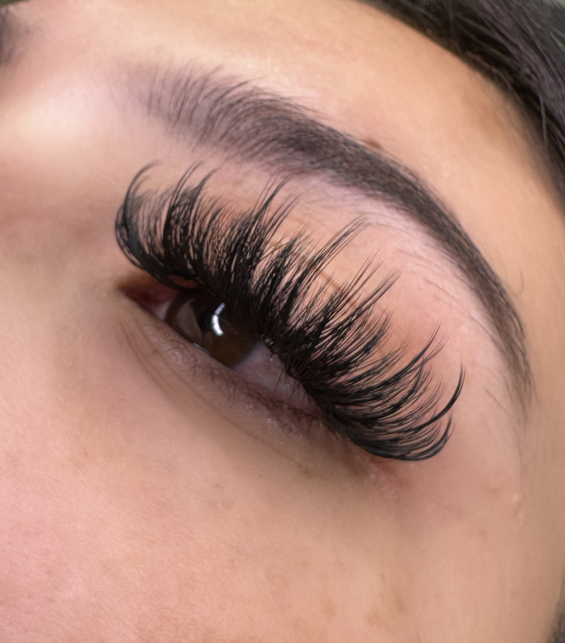 Volume lash Fill 2 Weeks